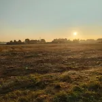 Au Silence Des Peupliers Litteau