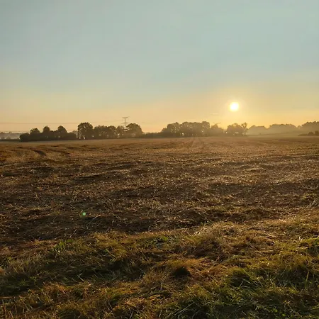 Au Silence Des Peupliers Litteau