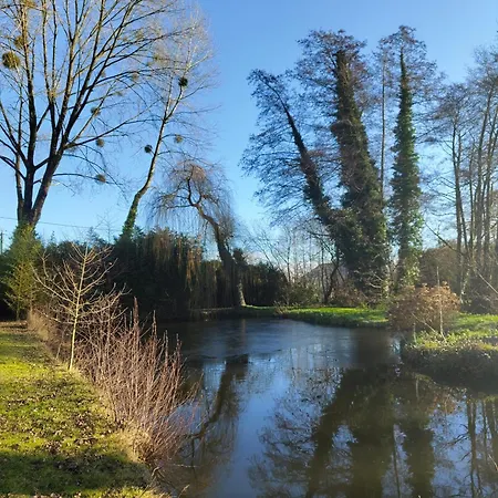 Au Silence Des Peupliers * Litteau