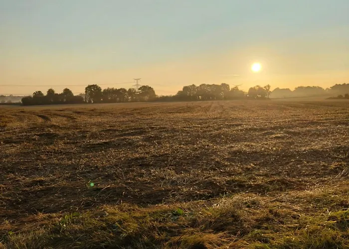 Au Silence Des Peupliers Litteau