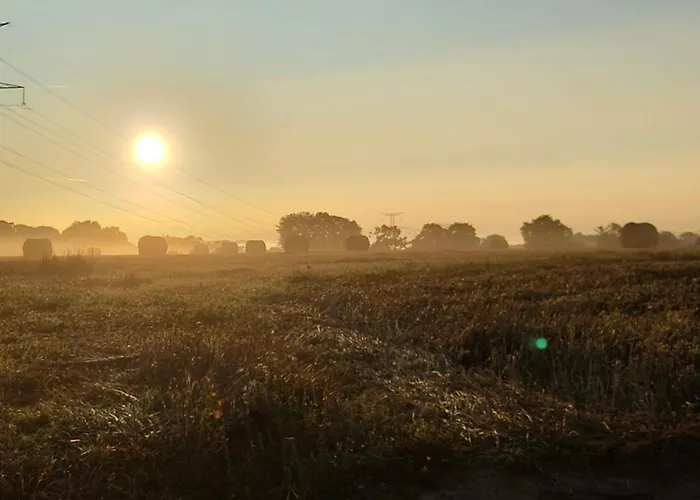 Au Silence Des Peupliers Kemping