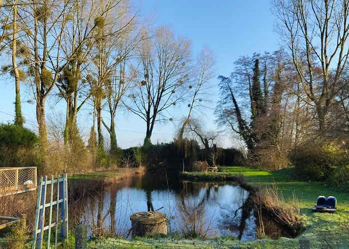 Au Silence Des Peupliers * Litteau